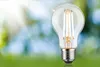 Paulmann Eco-Line Filament 230V LED Ampoule individuelle Voir les images du produit 7
