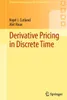 Derivative Pricing in Discrete Time Produktbild-Vorschau 1