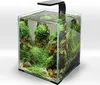A cube-shaped aquarium with a black LED light fixture on top, filled with water, rocks, sand, and lush green aquatic plants. Anteprima dell’immagine prodotto
