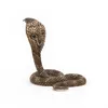 Papo- Figura Cobra Reale 5X5,5X6,6CM, Colore Beige - Anteprima dell’immagine prodotto 4