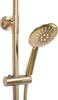 A close-up view of a gold-colored showerhead and part of its adjustable pole. Produktbild-Vorschau