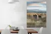 MuchoWow® Poster Schottische Highlander - Nebel - Gras Produktbild-Vorschau 2