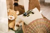 A teddy bear and a lizard plush toy are in a child's play area, possibly inside a tent. Produktbild-Vorschau