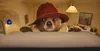 Paddington Produktbild-Vorschau 6