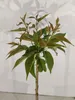 Prunus serrulata 'Kanzan', Japanse sierkers, hoogte 100 cm, Productafbeelding-voorbeeld 6