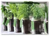 KESPER Servírovací podnos na bylinky 48x30x3,5cm Náhled obrázku produktu 4