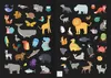 Leucht-Sticker - Tiere Produktbild-Vorschau 4