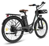 Bicicletta Elettrica FAFREES F26 Lasting - Motore 250W Anteprima dell’immagine prodotto 5