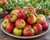 Jabloň Benoni 100–120 cm – skoré letné jablká, voňavé a Náhľad obrázku produktu 2