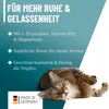 REAVET Relax Liquid für Katzen 50ml - Beruhigungstropfen I Produktbild-Vorschau 5