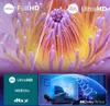 A split image showing a close-up of a flower and a living room scene with a TV. Voir les images du produit