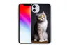 MuchoWow® Handyhülle Schutzhülle Hülle für iPhone 11 Katze Produktbild-Vorschau 2