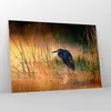 Bilder auf glas - Vogel Natur Wasser - 100x70cm - Produktbild-Vorschau 4