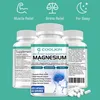 Magnesium L-Threonate, Bisglycinate, Malate 3 in 1 Complex Produktbild-Vorschau 8
