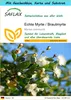 SAFLAX Geschenk Set - Echte Myrte / Brautmyrte - Myrtus Produktbild-Vorschau 1