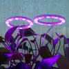 Two ring-shaped LED grow lights illuminating plants with purple and pink light. Produktbild-Vorschau