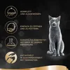 Sheba® 2782938007 Sheba® Katzen-Nassfutter Classics in Voir les images du produit 3