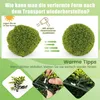 Lot de 2 boules de buis 50 cm, boules de buis, plantes Voir les images du produit 5