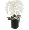 Orchidée artificielle bouquet blanc dans pot de fleurs H Voir les images du produit 9