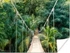 MuchoWow® Poster Dschungel - Palme - Brücke - Natur - Produktbild-Vorschau 1