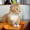 Panno per la polvere in microfibra Vileda 1 pz. Anteprima dell’immagine prodotto 6