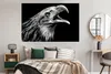 MuchoWow® Poster Adler - Porträt - Raubvögel - Schwarz - Produktbild-Vorschau 4
