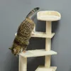 PawHut Kratzbaum  Katzenkratzbaum Katzenbaum mit Produktbild-Vorschau 9