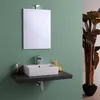 A modern bathroom vanity with a rectangular sink, a wall-mounted mirror, and a large potted plant. Anteprima dell’immagine prodotto