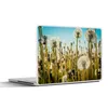 MuchoWow® Laptop Aufkleber Sticker Cover Blumen - Löwenzahn Produktbild-Vorschau 1
