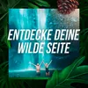 AXE 3in1 Duschgel & Shampoo Wild Mojito & Cedarwood XL, Produktbild-Vorschau 7
