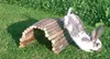 Kerbl Holzbrücke (Material Naturbelassenes Holz, L x B 50 x Anteprima dell’immagine prodotto 2