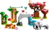 LEGO DUPLO 10974 Dzikie zwierzęta Azji - Odkryj egzotykę i Podgląd zdjęcia produktu 23