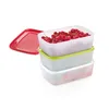 A stack of three clear food storage containers with red currants in the top one, and a red lid to the side. Podgląd zdjęcia produktu