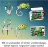 KOSMOS Schule der magischen Tiere Caspar mit magischen Anteprima dell’immagine prodotto 5