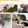 PawHut 2ks škrabací rohožka na pohovku Sisalová škrabací Náhled obrázku produktu 6