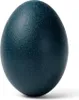 Echtes Emu Ei Natur 13 cm – ausgeblasenes Deko Ei Produktbild-Vorschau 1