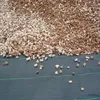 Unterbodengewebe Gartenvließ Gartenschutzplane Schutzplane Produktbild-Vorschau 2