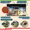 Lucky Reptile - Lettiera del deserto Natur - 20 litri Anteprima dell’immagine prodotto 6