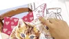 Zwei Schmusekätzchen Ravensburger 28342 Produktbild-Vorschau 10