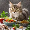 Wurmerli Drops Katze Fisch – Natürliche Leckerlis für Produktbild-Vorschau 6