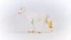 Schleich Farm World Camarillo Stute            13959 Produktbild-Vorschau 3
