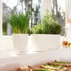 Donica Doniczka Lechuza Do Domu Na Taras Deltini biały Podgląd zdjęcia produktu 10