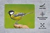 MuchoWow® Mauspad Mousepad Vogel - Kohlmeise - Tiere - Grün Produktbild-Vorschau 2