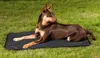 Back on Track Hundematratze Allround, Farbe:Schwarz, Produktbild-Vorschau 2