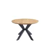 HOME DELUXE Esstisch Oval AVENTIS inkl. Sternfuß - 200 x Produktbild-Vorschau 3