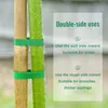 3 rotoli di fascette per piante, 12 mm x 5 m; fascette per Anteprima dell’immagine prodotto 3
