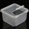 Terrario Insect Box Compact 12x12x7cm Terrario Voir les images du produit 8