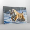 Bild auf Leinwand - Leinwandbild - tiger tier - 165x110cm - Produktbild-Vorschau 4
