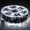 Guirlande lumineuse LED Eikuavons, 100 mètres, 1000 LED, 8 Voir les images du produit 1