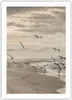 Poster - Poster ohne Rahmen - Möwen Küste Boho - 50x70 cm - Produktbild-Vorschau 1